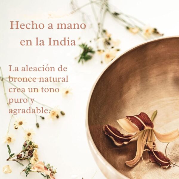 Cuenco Tibetano Meinl Cosmos 650g para Sanación Sonora y Baños de Sonido